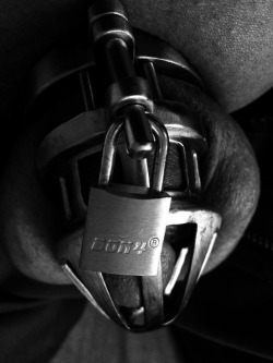 jacky-c:  Locked in steel and mono 