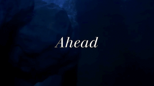 Image result for iceberg right ahead gif