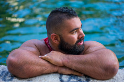 noodlesandbeef:  Outtakes from Barton Springs Pool.The photo of Alpha has a very narrow depth of field.  Only his collar and shoulders are in focus…which is a shame because he looks super huge.  Wish I took another shot, but its hard getting him