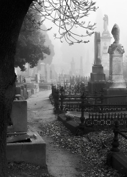 Stone Angels and Cemeteries / &ldquo;Fallen&rdquo; Fine Art Print by Mieke Boynton | RedBubble en We Heart It. http://weheartit.com/entry/74133332/via/crimsonuniverse