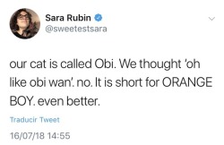 yaboybergara:  Shane and Sara got a cat. Via Sara’s twitter on July 16th, 2018. This is Obi: