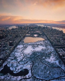 newyorkcityfeelings: Central Park is living an Ice Age by @paulganun