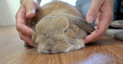 princess-peachie:  Bunny massage | [X] - SpicaSirius 