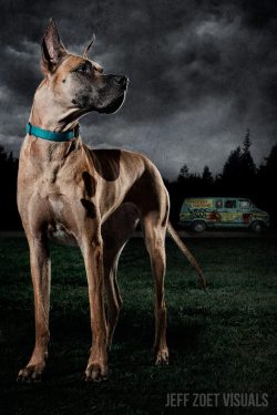 roy-ality:  brispeak:  freexcitizen:  firecrackerheart:  Scooby Scooby Do-We’ve Got Some Work To Do Now..  JINKYS VELMA  I’m not even a big Scooby Doo fan but this is damn cool!  Imagine a remake of the movie like this except rated R hahahaha 