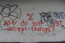 love:  Why do we just accept things? “Comfort”