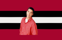 toadprince: validmogai: Rossgellerphobic - someone who is repulsed and disgusted by Ross Geller from the hit TV show FRIENDS.   Pride flag for every person on Earth  