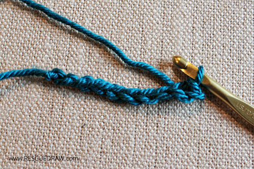 Learn to Crochet the Slip Stitch