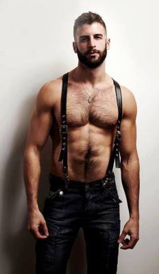 A hairy chest with suspenders on nipples