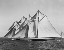 animalignea:  IROLITA and ELENA, 1913.   Breath taking sail display.