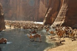 ancientorigins:Guelta Archei oasis, Tchad