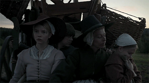 joker-theclown: On a farm in the 17th century, religious hysteria takes over a family that accuses the eldest daughter of her baby brother’s disappearance. The Witch  (2015) Robert Eggers 