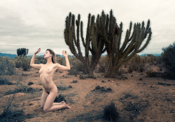 vexvoir:  billymonday:  Arriba (2015) Here’s my first landscape nude of 2015, made in Chile with the gracious assistance of vexvoir. She spent the following hour picking little spiky things out of her skin!  Making friends with the locals 