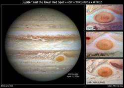 futurist-foresight:  the-actual-universe:  The Shrinking “Eye”We are all familiar with the striking red eye-shaped spot on Jupiter. The planet wrapped in a dense atmosphere, where this pattern, this Great Red Spot is thought to be formed by a giant