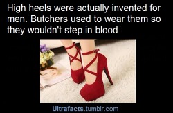 nerdy-ginger-rules-the-world:  ultrafacts:  Source See more facts Here  Women wear them now so we don’t have to step in the blood of our enemies 