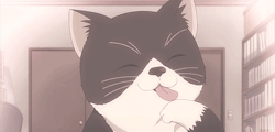mikotos-deactivated20140425:  Masamune's adorablu kitten appreciation post (◡‿◡✿)  