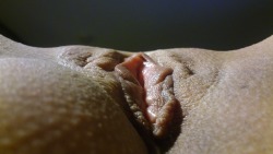klrspussy:  I thought this was an interesting new angle you guys might like!  =)  Every photo on my blog is of my pussy, ass or pee!  Click here to visit!  