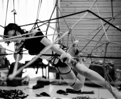 the-bea-triss:  Caught in a spider web. Photo and rope on me by @louarn_rous, web rope a collab between multiple riggers, connecting five models! — #shibaribythesea #web #rope #bound #shibari #shibariart #ropeart #ropeinstallation #aerial #suspension
