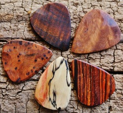 pickslayswoodworking:  SALE: Buy 4 Get the 5th one FREE - Wooden Guitar Picks - (Choose Wood Types) now available at Pickslay’s Woodworking on Etsy.com https://www.etsy.com/listing/160238799/sale-buy-4-get-the-5th-one-free-wooden?ref=pr_shop 