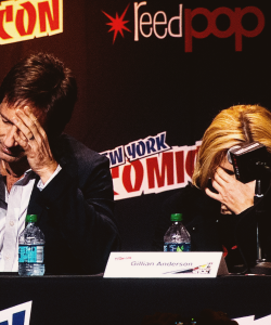 andersondaily:  David Duchovny &amp; Gillian Anderson at NYCC 2013. Picture by Radhika Marya. 