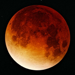 amnhnyc:  On September 27, weather permitting, will be a wonderful evening of Moon watching. That night we’re due for a triple header—the Harvest Moon will also be a “Super Moon,” about as big as any Full Moon can ever appear. And, the super-sized