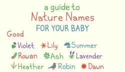birdandmoon:  Everybody I know is having kids, so I made this helpful guide to nature names for your baby. 