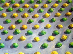 ben-is-painting:  Lemons/Limes.Â 2013. 