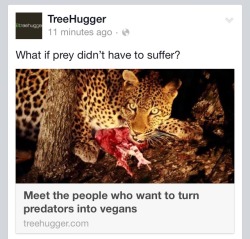 meme-lord-mcgee:arlluk:there are actual people out there who want to genetically modify carnivores so they no longer eat other animals im going to fly away from this planet goodbyeyeah let’s just fuck up the entire ecosystem because i’m uncomfortable