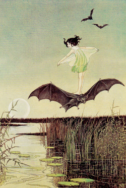 vintagegal:  Ida Rentoul Outhwaite - The Witch’s Sister on Her Black Bat from The Enchanted Forest (1921) 