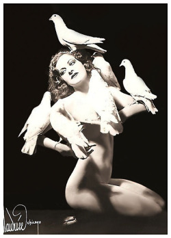 Rosita Royce       aka. &ldquo;The Dove Dancer&rdquo;.. Ms. Royce had an act entitled &ldquo;Dance of the Doves&rdquo;.. She had trained the doves to fly on stage and assist in the removal of the fine layers of her dance costume..