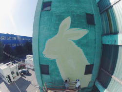 culturenlifestyle: Exotic Murals That Glow in the Dark Barcelona based graphic art studio Reskate Arts and Crafts astonish pedestrians with their beautiful murals that glow in the dark. Keep reading 