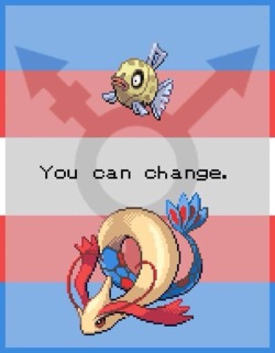 snugglemeplease:  singing-at-midnight:  Inspirational pokemon photos.   @n0thingwhatever