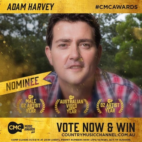 Vote for the CMC Music Awards!
