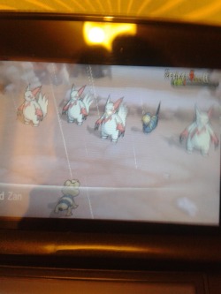 that-creepyblue:  grimkissu:  foolish13skeletons:  I WAS TRAINING MY SANDILE, DILLY, AND I CAME ACROSS A HOARD BATTLE THERE WAS A RANDOM SEVIPER IN WITH THEM AND I WAS GONNA MAKE A ‘SOMETHING DOES NOT BELONG’ POST BUT THEN THIS HAPPENED THE ZANGOOSE