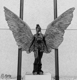 nighty-horse:    Well, there is a sculpture next to the mexican embassy in Berlin that features only two wings held up by two steel poles. So I had to do it … please enjoy Pegasus Nighty … I think wings do suit him :) I had to edit the picture a bit