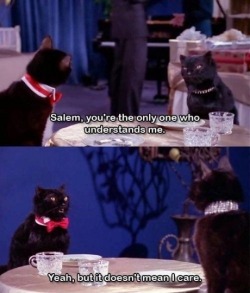  thebestworstidea:  30-space-chickens-go:  Possibly one of the best characters to ever be on TV  Salem was such a good character no one cared he was a bad puppet.  