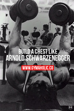 gymaaholic:  Build that strong chest like Arnold Schwarzenegger ! It’s now or NEVER. http://www.gymaholic.co/workouts/build-a-big-chest-like-arnold-schwarzenegger