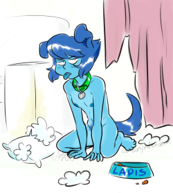 Lapis Lazuli - the worst behaved puppy