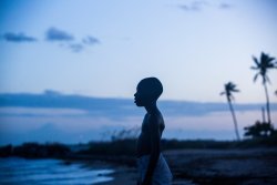 bestthingfortoday:  Moonlight  I urge you all to go see Moonlight, it may be one of the best films I&rsquo;ve seen this year (right up there with La La Land and Nocturnal Animals). But Moonlight is a very special and beautifully relatable work of art.