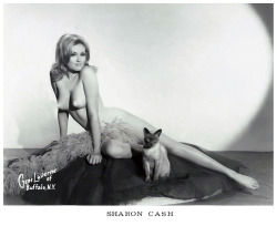 Sharon Cash          aka. “The Million Dollar Baby!”..
