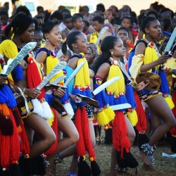   Swazi reed dancers, via dominikform  