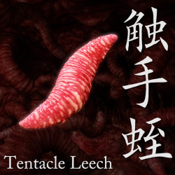 New tentacle of Tentacles Hole. Easy posing morph parameter and SSS Material Optimized for P9/PP12 or higher. Created by Chocolate! Let your sci fi renders fly! Tentacle Leech  http://renderoti.ca/Tentacle-Leech