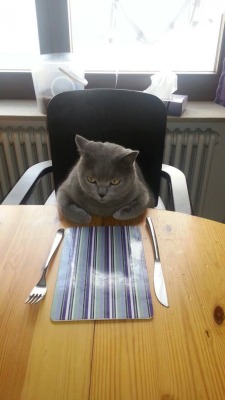 memeguy-com:  When your mom calls you to eat but the food isnt ready yet