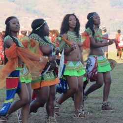   Swazi reed dancers, via joseheid
