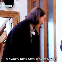 nexttimeisnotthesame: Yoona x 미미 the cat | Hyori’s Homestay Season 2