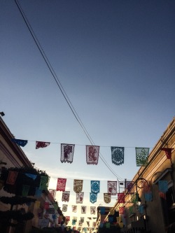 licca-quintero:  Tlaquepaque, Jalisco , México.Octubre 2014