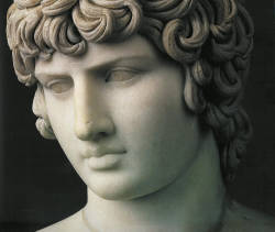 ombredesfleurs:  The Antinous Farnese - 130-138 AD, Naples Archaeological Museum. 