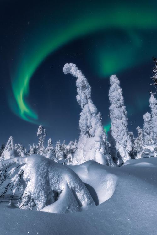oneshotolive:  Aurora borealis over snowy trees. Russia, Murmansk region [OC] [1367 x 2048] 📷: andreibaskevich 