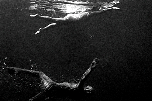 hatoriji:Creature from the Black Lagoonyr. 1954 | dir. Jack Arnold