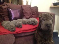 narcotic:&ldquo;I, a big wrinkle, made all of these smaller wrinkles&rdquo;