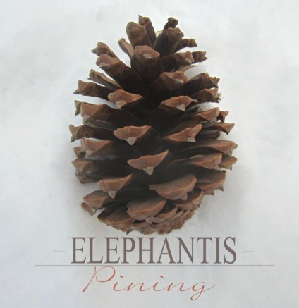 Elephantis – Pining [EP] (2013)